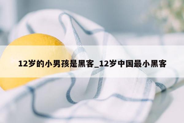 12岁的小男孩是黑客_12岁中国最小黑客