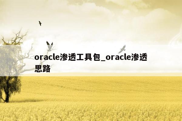 oracle渗透工具包_oracle渗透思路