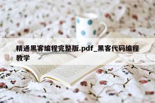 精通黑客编程完整版.pdf_黑客代码编程教学