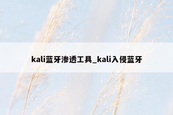 kali蓝牙渗透工具_kali入侵蓝牙