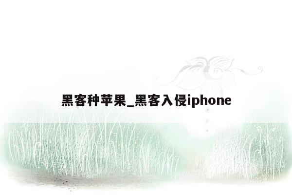 黑客种苹果_黑客入侵iphone