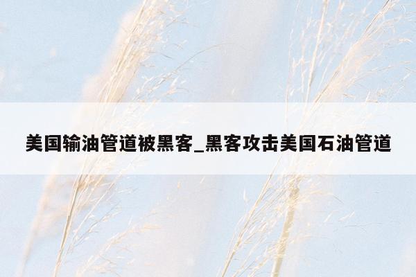 美国输油管道被黑客_黑客攻击美国石油管道