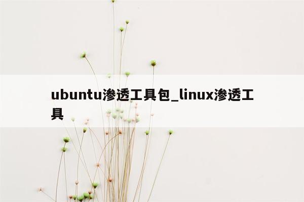 ubuntu渗透工具包_linux渗透工具