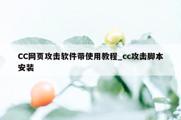 CC网页攻击软件带使用教程_cc攻击脚本安装