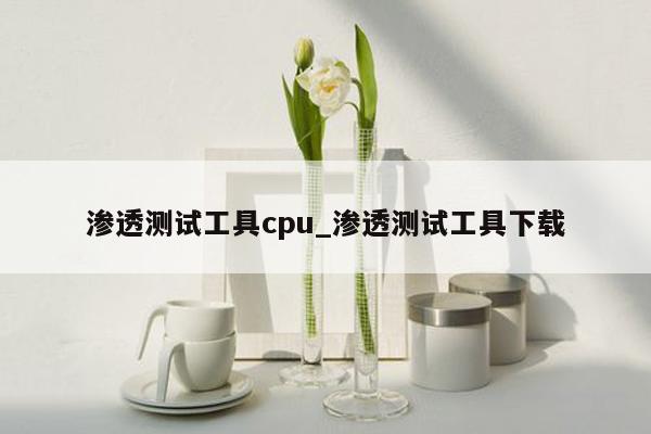 渗透测试工具cpu_渗透测试工具下载