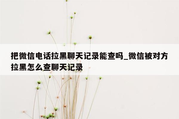 把微信电话拉黑聊天记录能查吗_微信被对方拉黑怎么查聊天记录