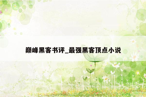 巅峰黑客书评_最强黑客顶点小说