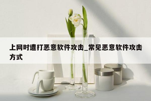 上网时遭打恶意软件攻击_常见恶意软件攻击方式