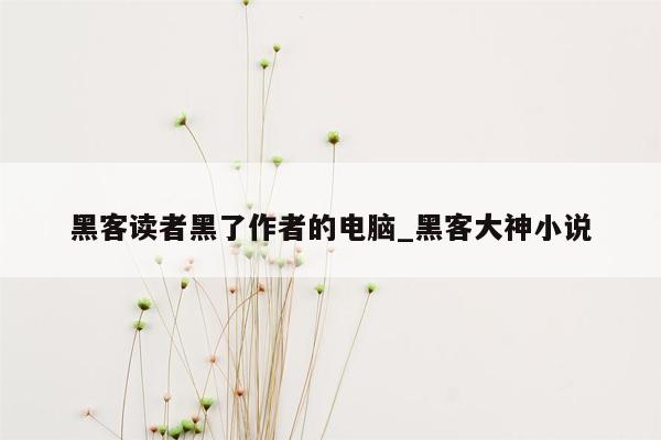 黑客读者黑了作者的电脑_黑客大神小说