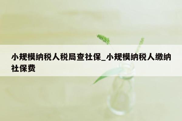 小规模纳税人税局查社保_小规模纳税人缴纳社保费