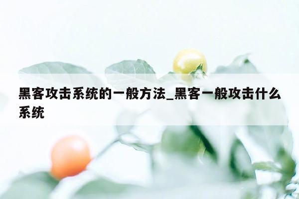 黑客攻击系统的一般方法_黑客一般攻击什么系统