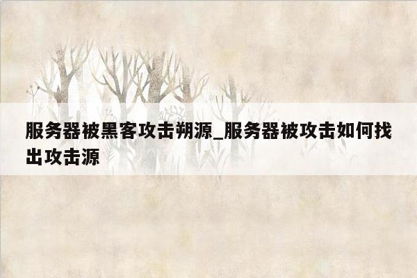 服务器被黑客攻击朔源_服务器被攻击如何找出攻击源