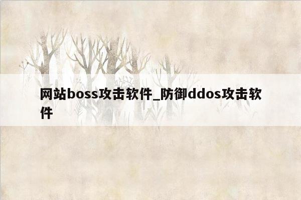 网站boss攻击软件_防御ddos攻击软件