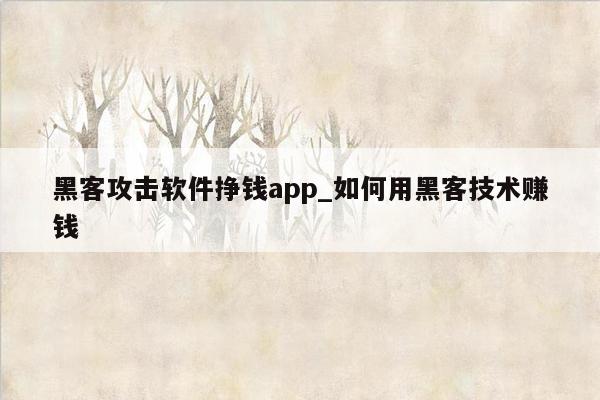 黑客攻击软件挣钱app_如何用黑客技术赚钱