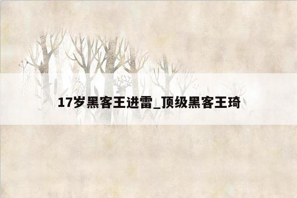 17岁黑客王进雷_顶级黑客王琦