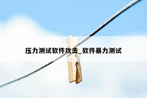 压力测试软件攻击_软件暴力测试