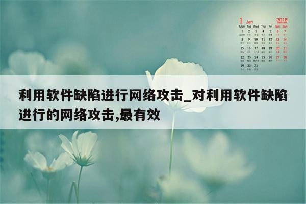 利用软件缺陷进行网络攻击_对利用软件缺陷进行的网络攻击,最有效