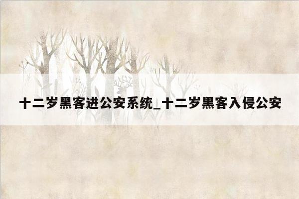十二岁黑客进公安系统_十二岁黑客入侵公安