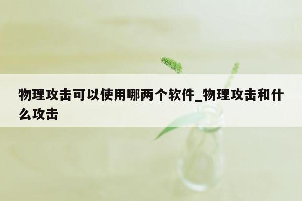 物理攻击可以使用哪两个软件_物理攻击和什么攻击