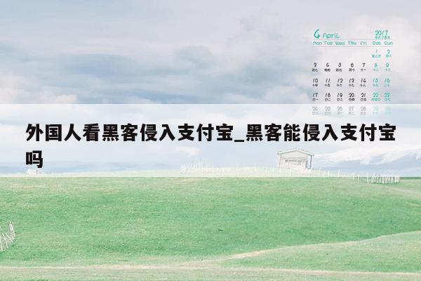 外国人看黑客侵入支付宝_黑客能侵入支付宝吗