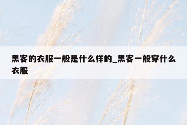 黑客的衣服一般是什么样的_黑客一般穿什么衣服