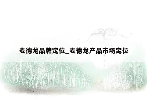麦德龙品牌定位_麦德龙产品市场定位