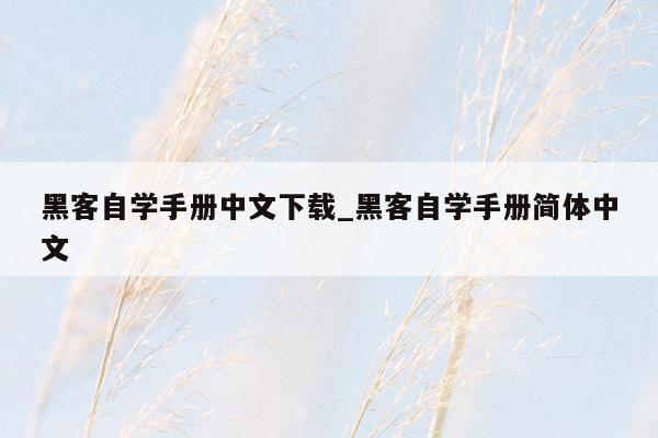 黑客自学手册中文下载_黑客自学手册简体中文