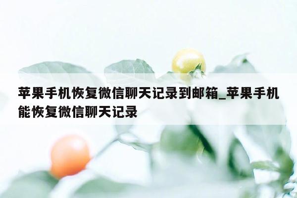 苹果手机恢复微信聊天记录到邮箱_苹果手机能恢复微信聊天记录