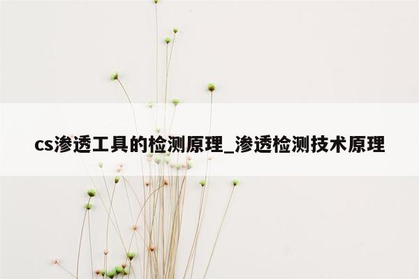 cs渗透工具的检测原理_渗透检测技术原理