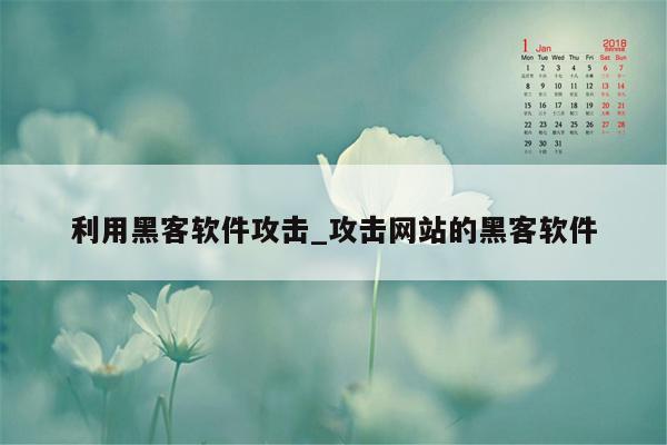 利用黑客软件攻击_攻击网站的黑客软件