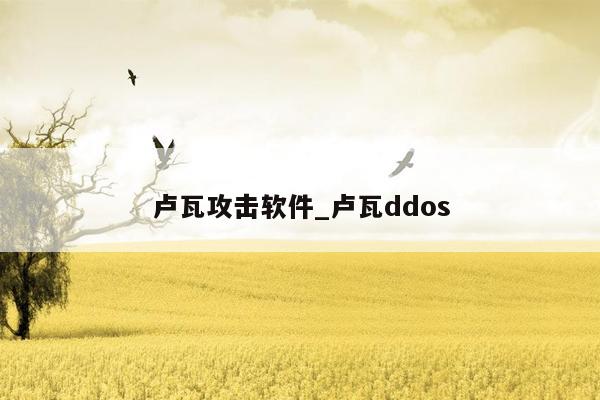 卢瓦攻击软件_卢瓦ddos