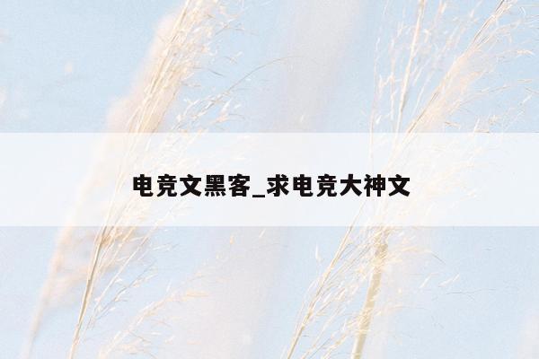 电竞文黑客_求电竞大神文