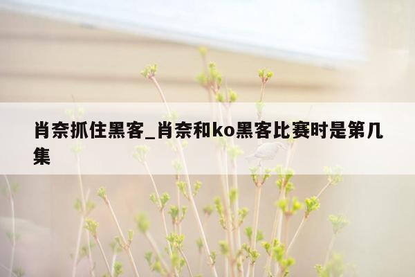 肖奈抓住黑客_肖奈和ko黑客比赛时是第几集