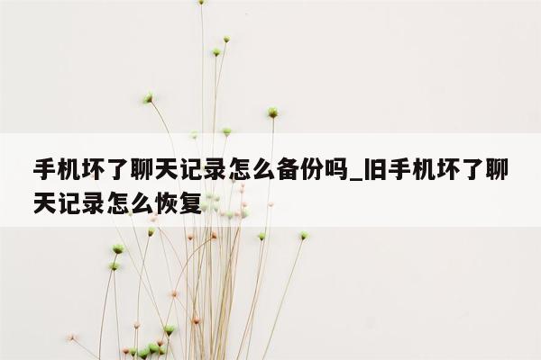 手机坏了聊天记录怎么备份吗_旧手机坏了聊天记录怎么恢复