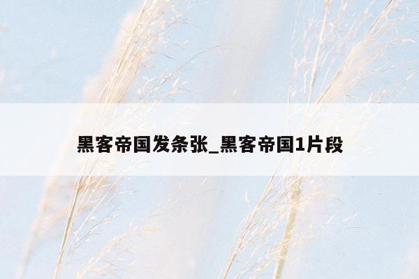 黑客帝国发条张_黑客帝国1片段
