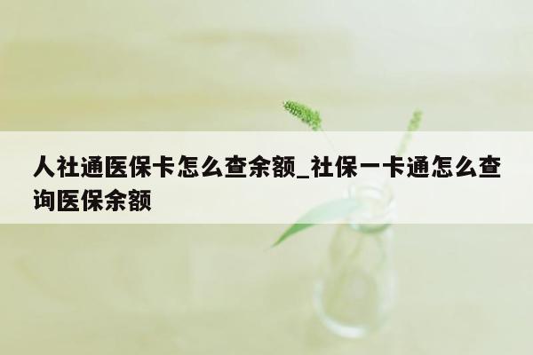 人社通医保卡怎么查余额_社保一卡通怎么查询医保余额