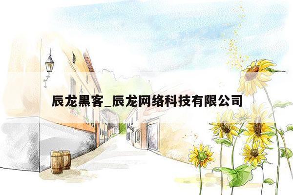 辰龙黑客_辰龙网络科技有限公司