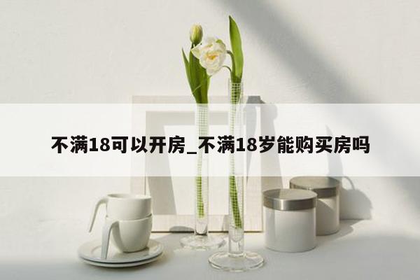 不满18可以开房_不满18岁能购买房吗