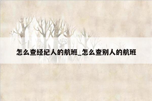 怎么查经纪人的航班_怎么查别人的航班