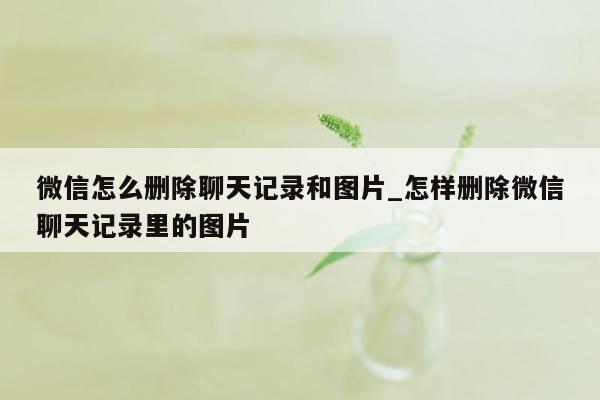 微信怎么删除聊天记录和图片_怎样删除微信聊天记录里的图片