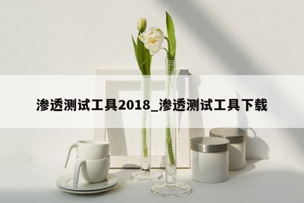 渗透测试工具2018_渗透测试工具下载