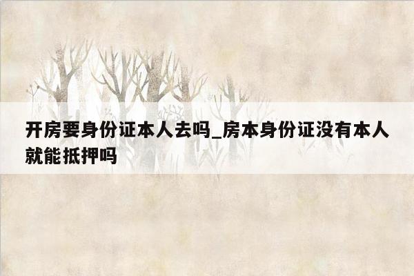 开房要身份证本人去吗_房本身份证没有本人就能抵押吗