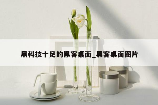 黑科技十足的黑客桌面_黑客桌面图片
