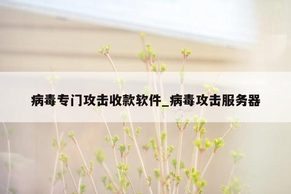 病毒专门攻击收款软件_病毒攻击服务器