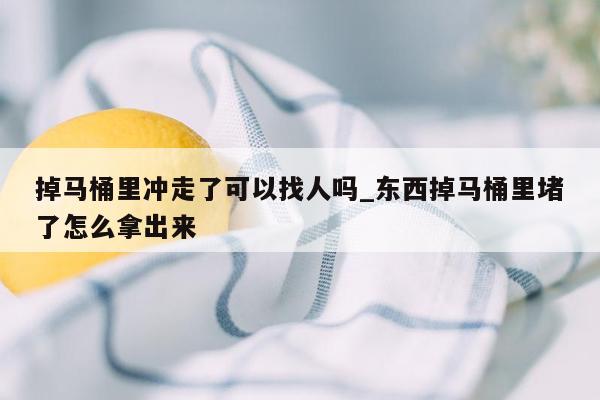 掉马桶里冲走了可以找人吗_东西掉马桶里堵了怎么拿出来