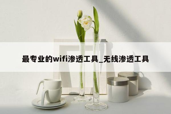 最专业的wifi渗透工具_无线渗透工具