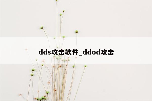 dds攻击软件_ddod攻击