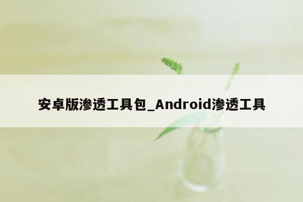 安卓版渗透工具包_Android渗透工具