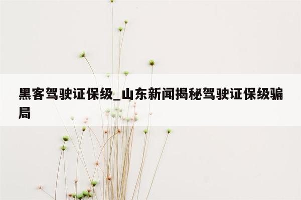 黑客驾驶证保级_山东新闻揭秘驾驶证保级骗局