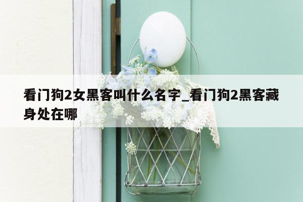 看门狗2女黑客叫什么名字_看门狗2黑客藏身处在哪